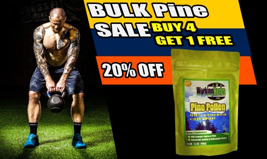 Pine Pollen Powder 100g (3.5 oz) bag 99% Broken Cracked Cell Wall (wild harvested) Organic Testosterone BOOSTER! BULK (5 Pack)